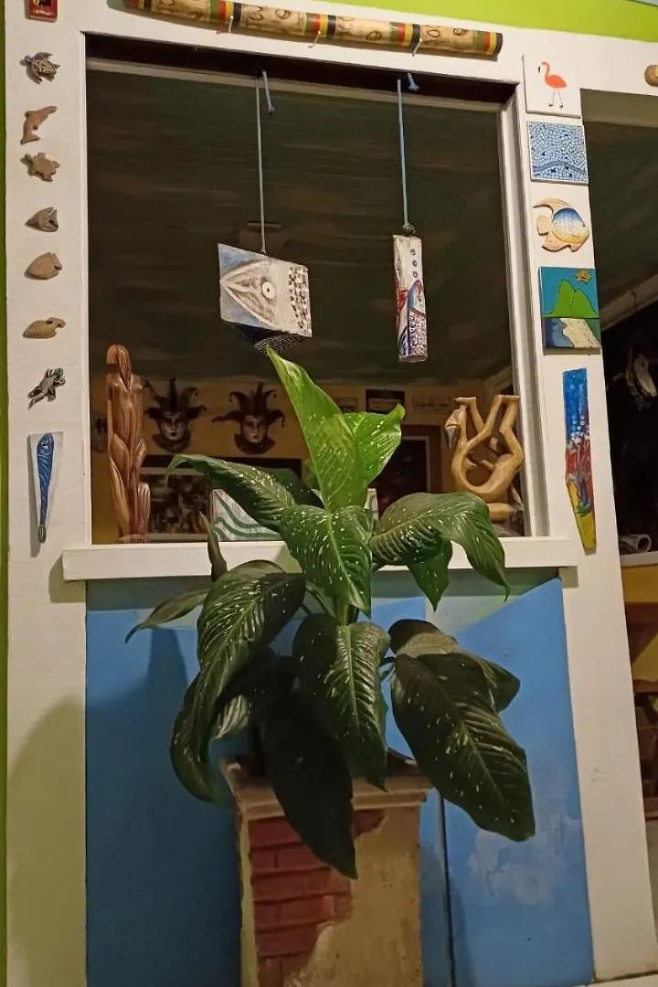 Búzios Pousada Mare Blue אורחן